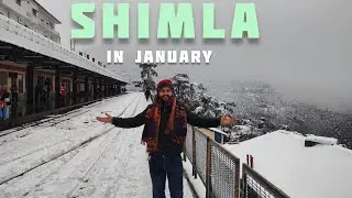Shimla Snowfall 2026 ❄️ | Queen of Hills Stole My Heart!