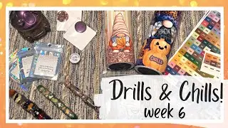 Drills and Chills, Week 6: Small Shop Haul & Sponsor Spotlight, Part 2!
