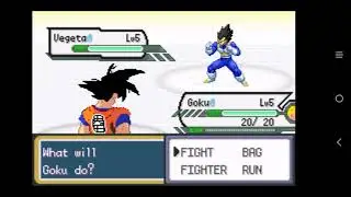 Dragon Ball Z - Team Training (Part 1)
