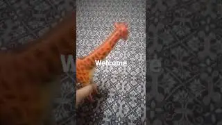 new member in our jungle family