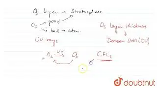 OZONE DEPLETION IN THE STRATOSPHERE