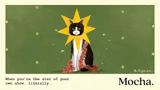 shine kitty.