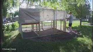 Chicken Coop with run, Day 12