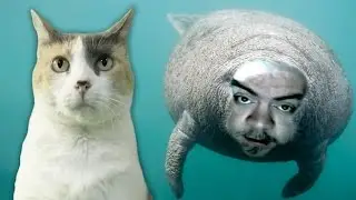 Brett Keane's Very Murderous Death Situation!