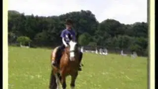 Burrows lane horse riding school 2 !!