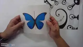 Symmetrical and Asymmetrical Balanced Designs