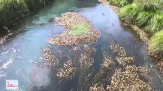 Rieti e provincia -  Sorgenti del fiume Peschiera e cascata delle Marmore
