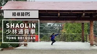 少林通背拳 Shaolin Tong Bei Quan