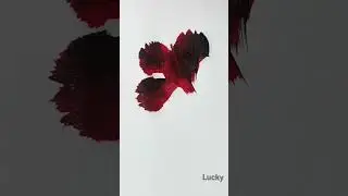 Super art one stroke painting #youtubeshorts #shorts #art #satisfying #creativeart #drawing