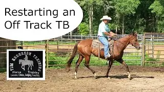 Restarting an Off Track TB. 2nd Ride.