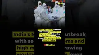 Почему вспышка вируса Нипах в Индии вызывает глобальную обеспокоенность #вирус