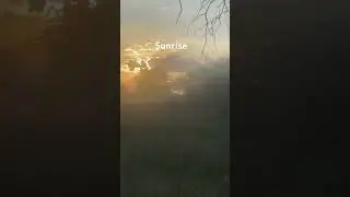 Sunrise #safari #sunrise