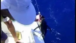 Pesca en Puerto Vicente thefishman