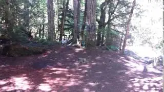 Snag Creek Trailhead Dispersed, WA from Raphaela H.