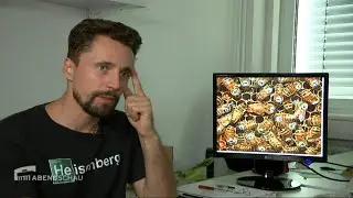 Berlin's Biorobotics Lab in local TV