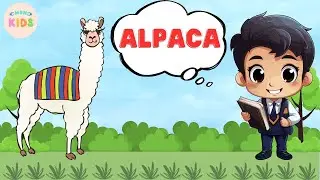 Alpaca Facts For Kids 😄 Learn All About Alpacas | MON Kids