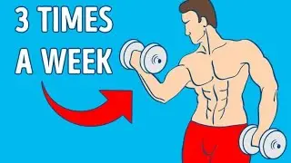 HOW I BUILD MY ARMS! 3 TIMES A WEEK - Fitness Taddy - Best Bicep & Tricep Builder #shorts