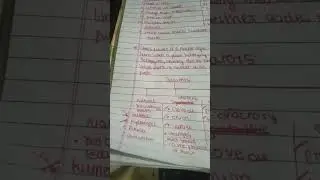 Class 10 acid bases and salts part 1