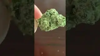 Trulieve roll one (ice cream cake)26%thc 3.6 terps