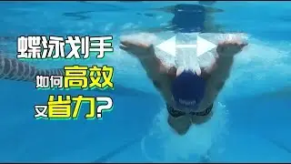 蝶泳手应该怎么划 ?蝶泳手部动作详解—K爷游泳课
