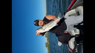California Delta early Summer Striper🔥🔥🔥🔥🔥
