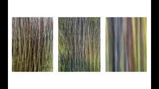 Creating a Triptych