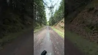 Wired Predator Takes on Oakridge, Oregon | Forest Roads and Rear Tire Flat.