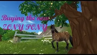 Buying the NEW ZONY PONY! || Star Stable Online