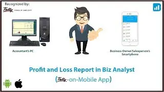 Biz Analyst: Tally on Mobile App: Profit and Loss Report
