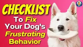 Susan Garrett’s Checklist To Fix Your Dog's Frustrating Behavior Problems