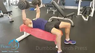 Project 7in4 - Weights Training