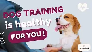 Dog Training = Self-Care? Science Says Yes.