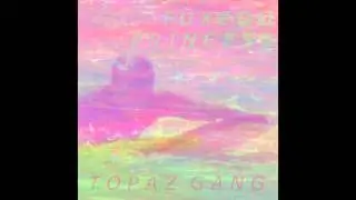 TOPAZ GANG : TUXEDO PRINCESS