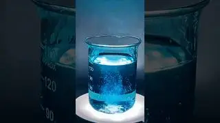The little stars ✨💫 of chemistry #science #experiements #funny