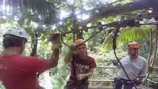 Zip lining through Bocawina National Park, Belize (1 of 4)