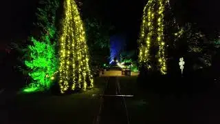 Pealight Crowns - SLX Immersive Light Installation