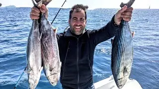 PELAMIDE, GROS BOUILLONS: pêche en mer aux leurres sur chasse