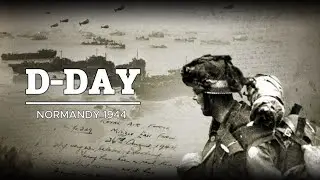 German Generals Were Shocked By The Endless Fleet of Allied Ships On D-Day | World War Tales