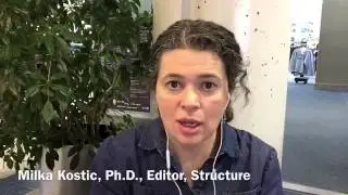 Editor at a Conference: A Balance between Formal and Social