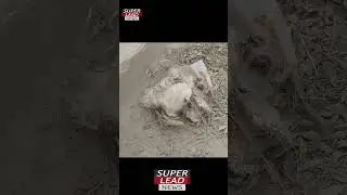 mystery in graveyard of lahore | miyani sahab graveyard | mystery stories | superlead news