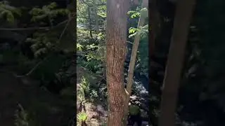Реальный  Greater Vancouver, Canada. Burnaby. Жизнь в Ванкувере.