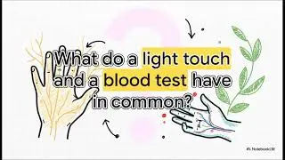 The Hidden Map of Your Arm (Pectoral Region, Axilla, and Back Anatomy)