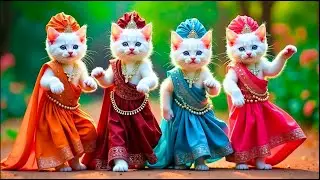 Самые милые видео с котами, танцующими под искусственным интеллектом🤣💃Танцевальные видео для коше...