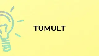 What is the meaning of the word TUMULT?