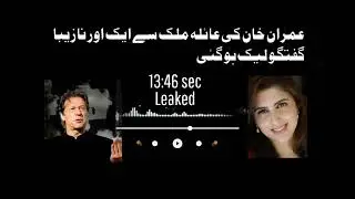 imran khan leak audio | Ayla Malik | 18+ | #Aylamalik #leakedaudio #mmsound