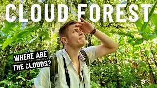 Santa Elena Cloud Forest in Costa Rica | Visiting in January