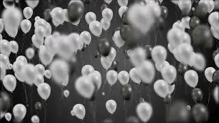 Black and White Balloons Flying on Black Background  Motion Graphics  4K (Free)