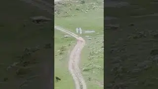 سورہ رحمن #explore hazara #soulfulrecitation #themostemotionalsoftquranrecitation #love #suratrehman