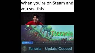 When you look on Steam and see that Terraria has an update. #terraria #steam