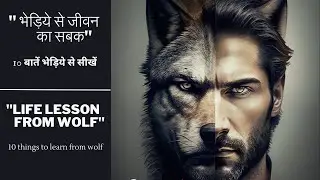Life lesson from Wolf || The wolf Mentality | The Power Of wolf Mindset - Best Motivational Video